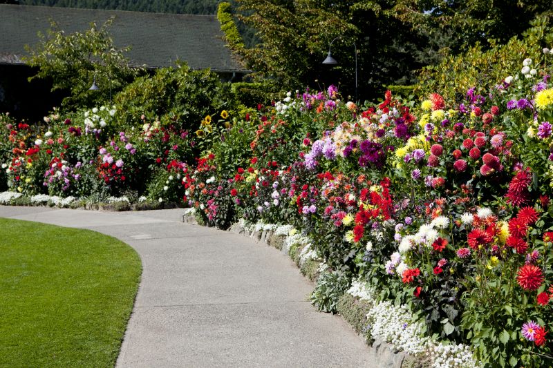 Colored Concrete Service