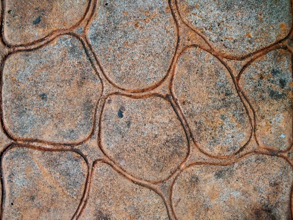 Concrete Stamping in Carmel