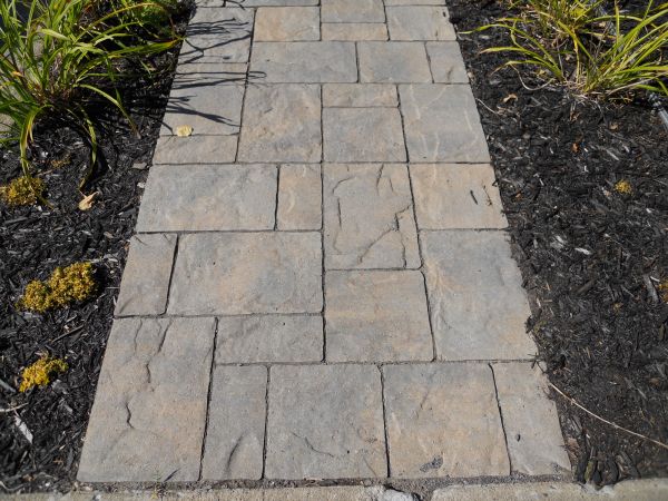 Stamped Concrete Staining in Carmel