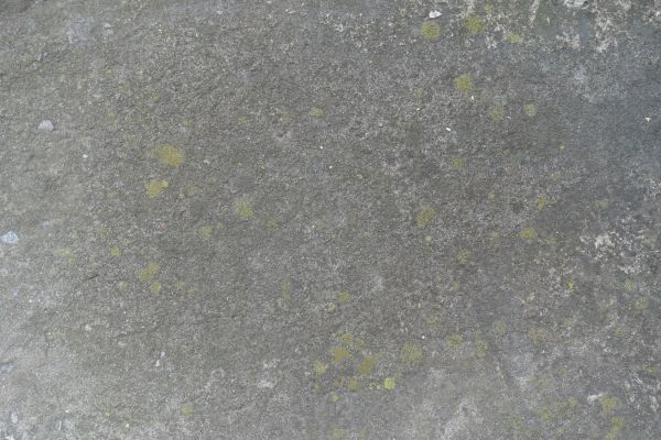Cost of Slab Staining Service in Carmel